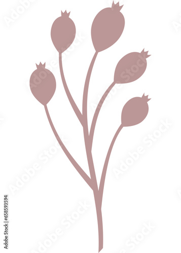 Blume, Pflanze mit transparentem Hintergrund 