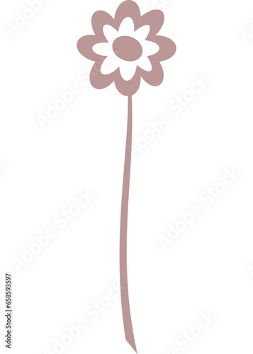 Blume, Pflanze mit transparentem Hintergrund 