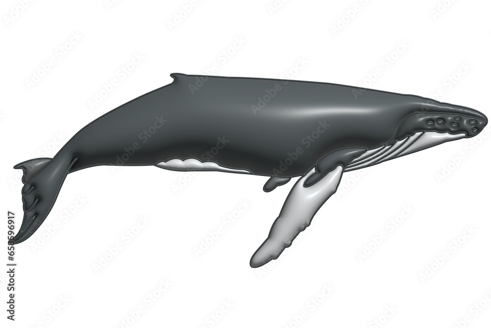 Whale in 3D on a transparent background Whale in 3D on a transparent background