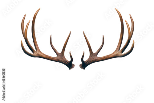 Reindeer horns, deer antlers isolated on white transparent background, PNG. Christmas decoration 