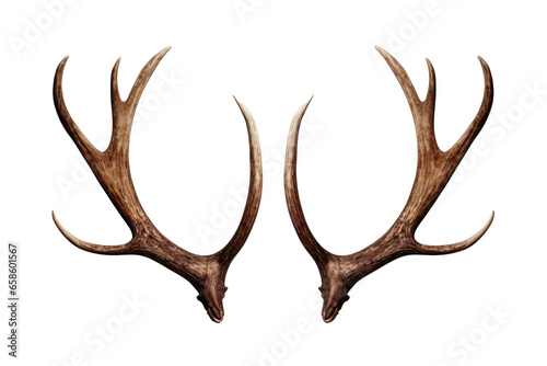 Slika na platnu Reindeer horns, deer antlers isolated on white transparent background, PNG