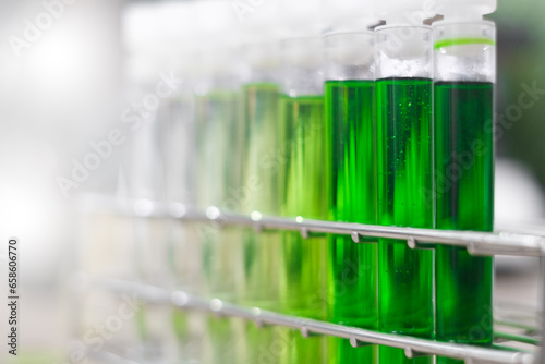 Tableau sur toile Green plant treatment research in industrial laboratories
