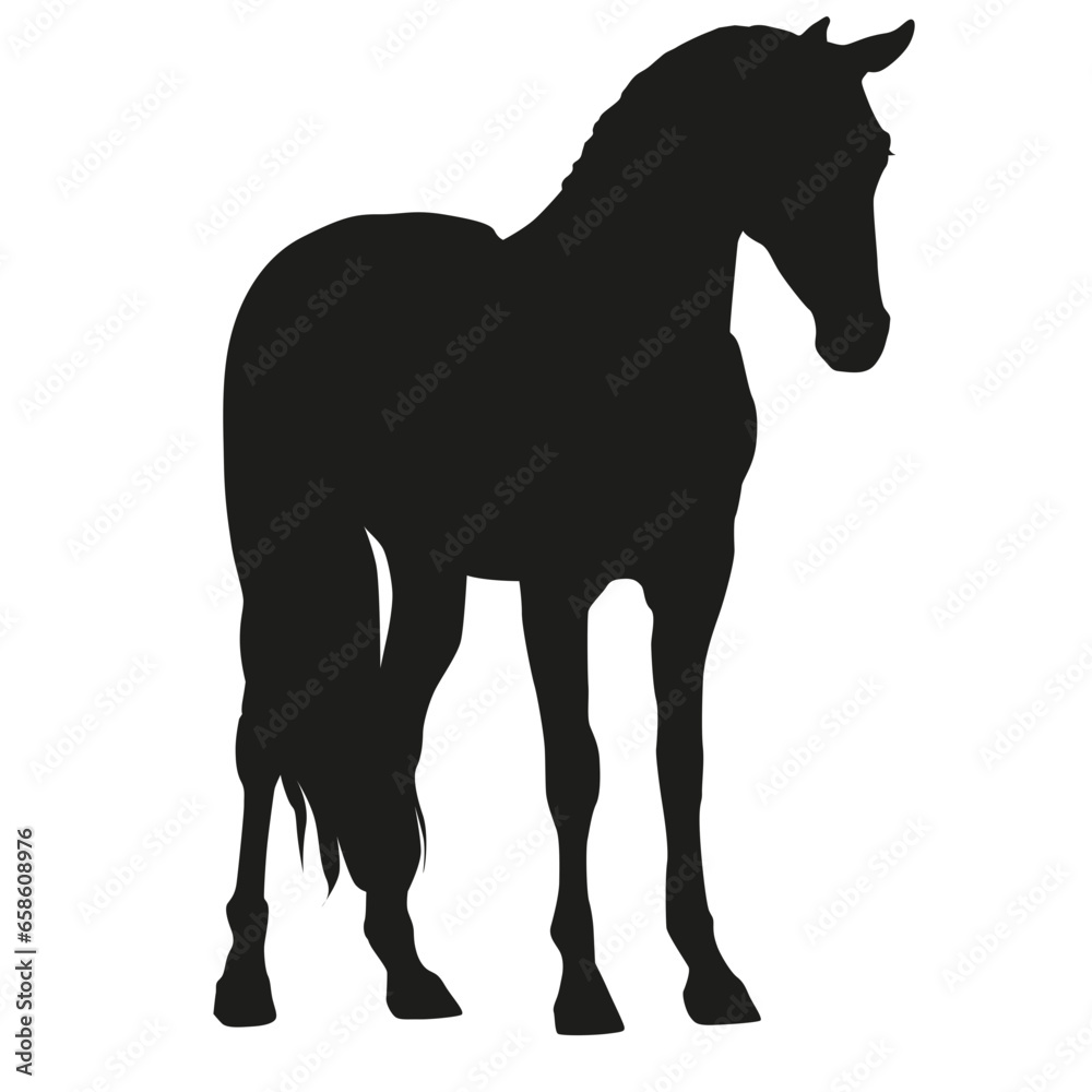 Obraz premium Horse silhouette