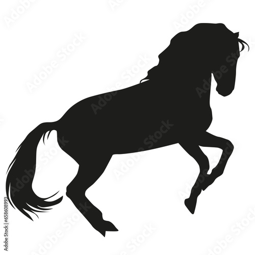 Horse silhouette