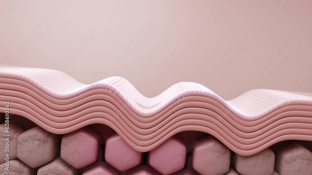 Molecules of collagen from cream or serum product penetrates to skin and enhancing firmness to skin. Wrinkle and Saggy skin treatment product concept. 3D rendering.