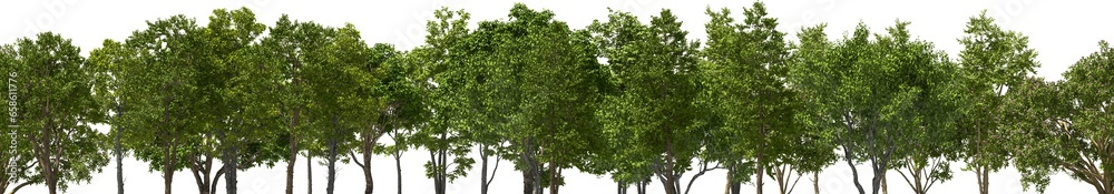 xxl trees tree line, hq, arch viz, cutout plant 3d render xxl trees tree line, hq, arch viz, cutout plant 3d render