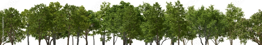 xxl trees tree line, hq, arch viz, cutout plant 3d render