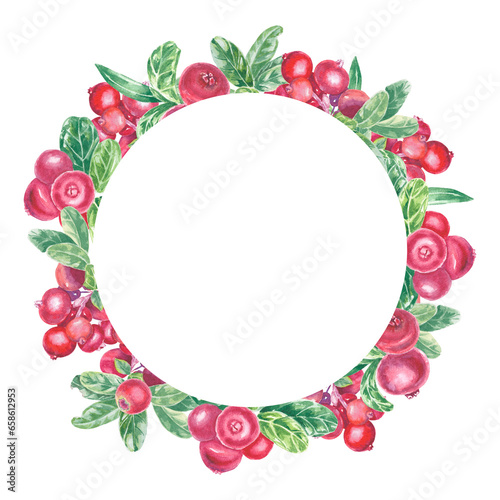 Wreath with hand painted red lingonberry, cowberry, cranberry and leaves. Watercolor botanical illustration isolated element. Art for food design menu, logo, christmas composition, holiday frame © Alena