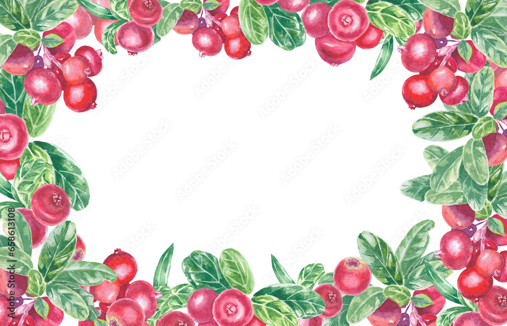 Frame with hand painted red lingonberry, cowberry, cranberry and leaves. Watercolor botanical illustration isolated element. Art for food design menu, logo, composition, frame. Frame with hand painted red lingonberry, cowberry, cranberry and leaves. Watercolor botanical illustration isolated element. Art for food design menu, logo, composition, frame.
