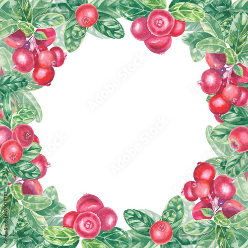 Frame with hand painted red lingonberry, cowberry, cranberry and leaves. Watercolor botanical illustration isolated element. Art for food design menu, logo, composition, frame.