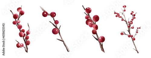 Christmas berries bouquet watercolor elements vector set