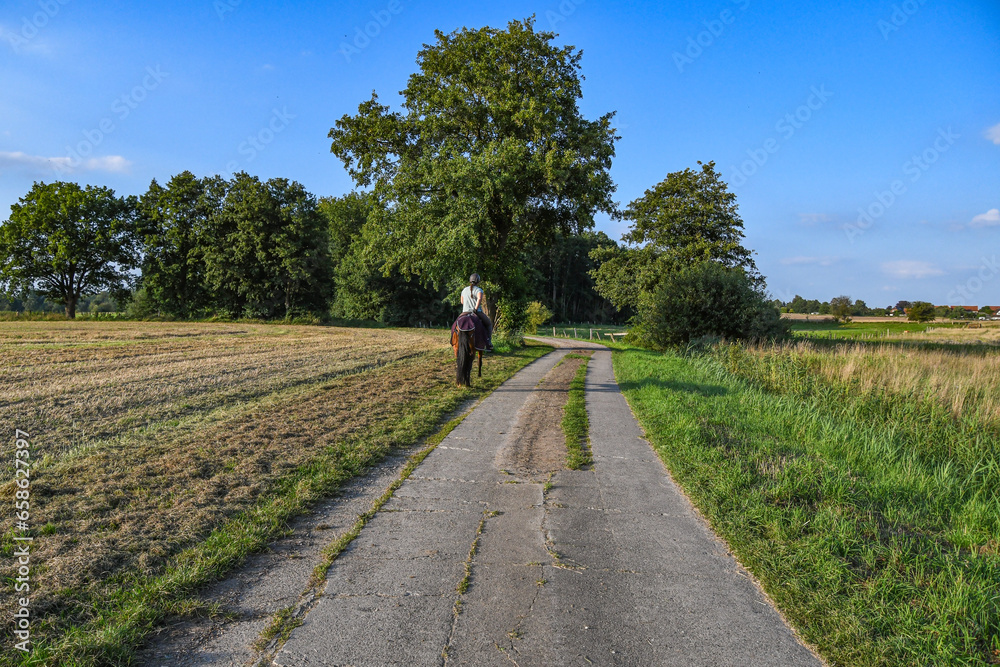 Obraz premium Eine Frau reitet auf einem Pferd eine Feldstraße entlang