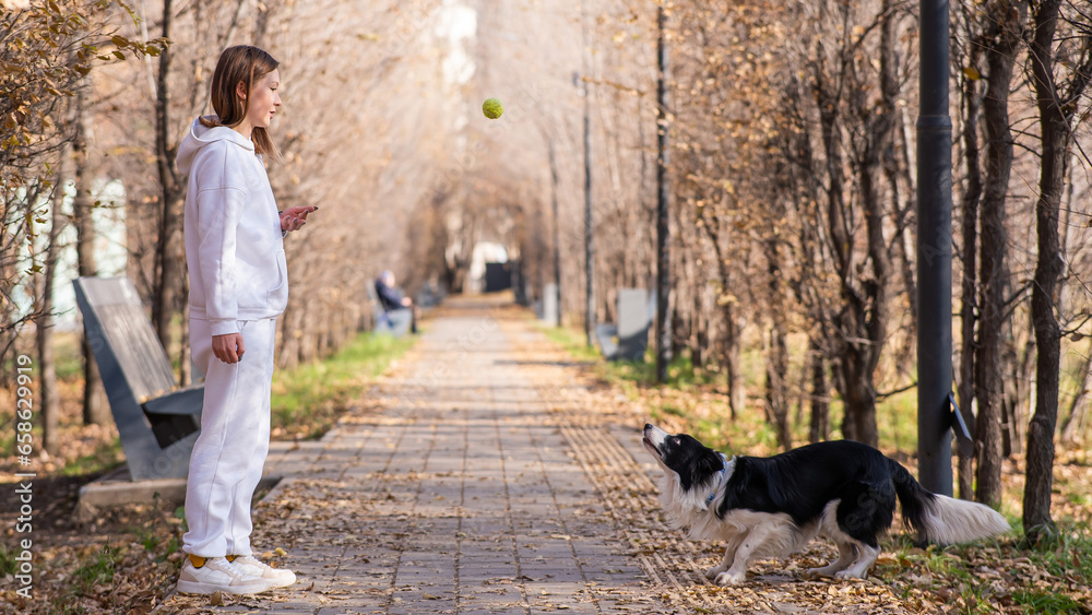 Fototapeta premium Caucasian woman walking with a dog in the park in autumn. The Border Collie jumps very high.