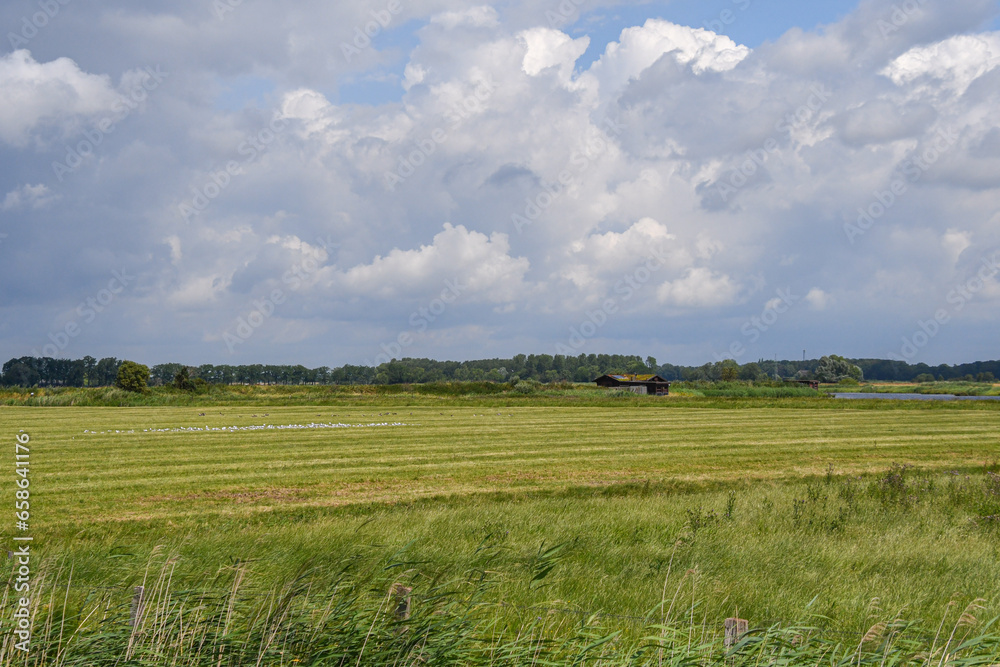 NABU Vogelstation Wedeler Marsch