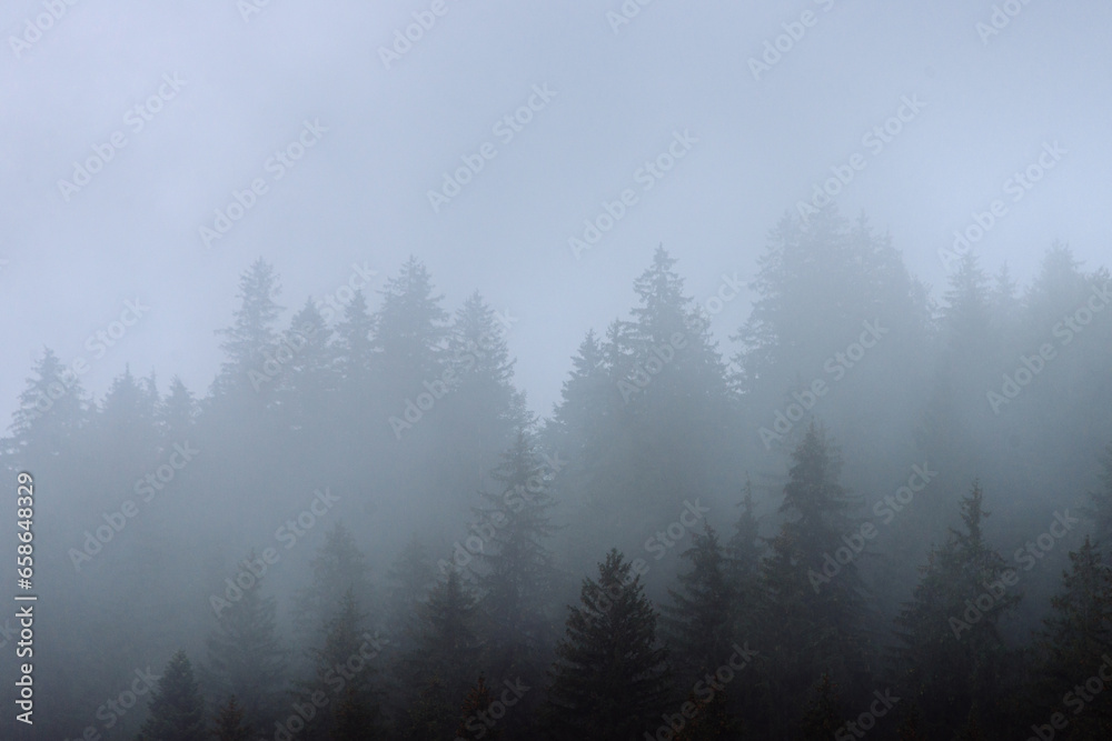 Amazing panoramic landscape mountain forests covering with a lot of fog after rain.