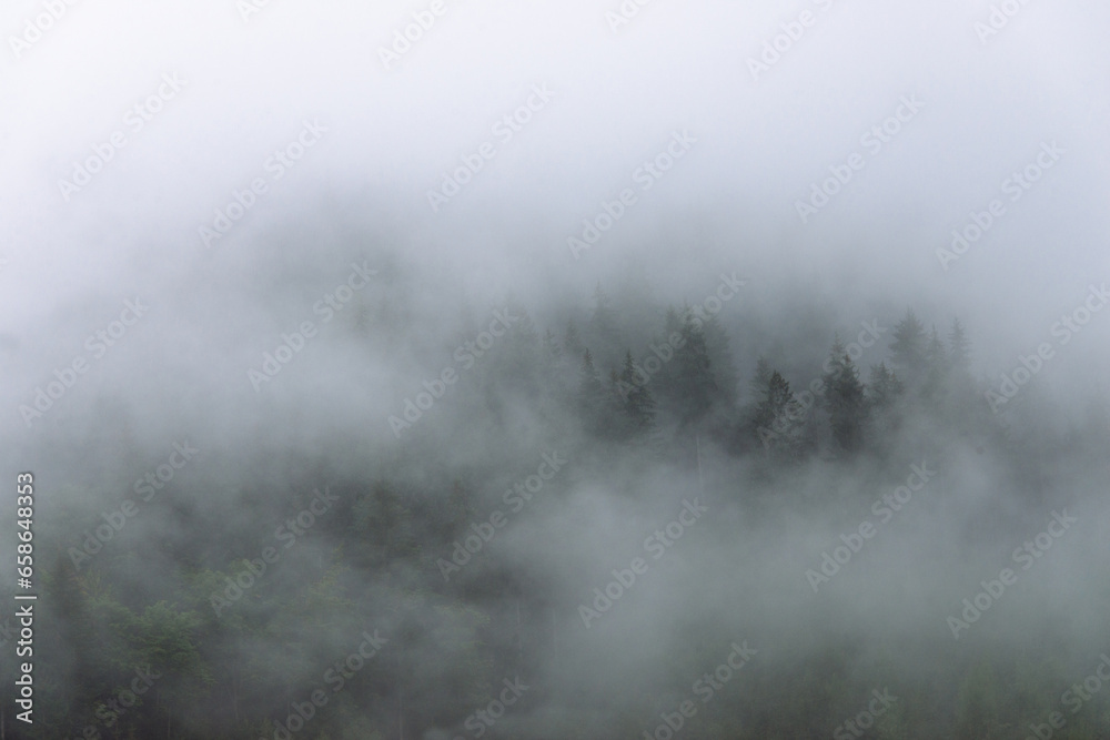 Amazing panoramic landscape mountain forests covering with a lot of fog after rain.