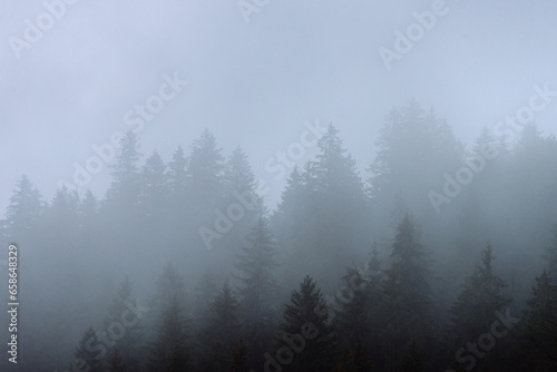 Amazing panoramic landscape mountain forests covering with a lot of fog after rain. © vovik_mar