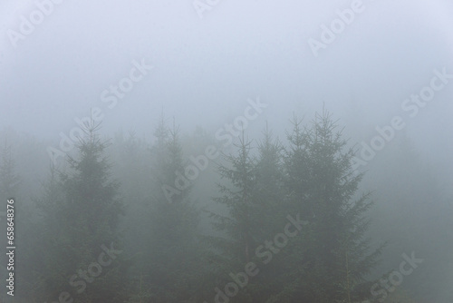 Amazing panoramic landscape mountain forests covering with a lot of fog after rain.