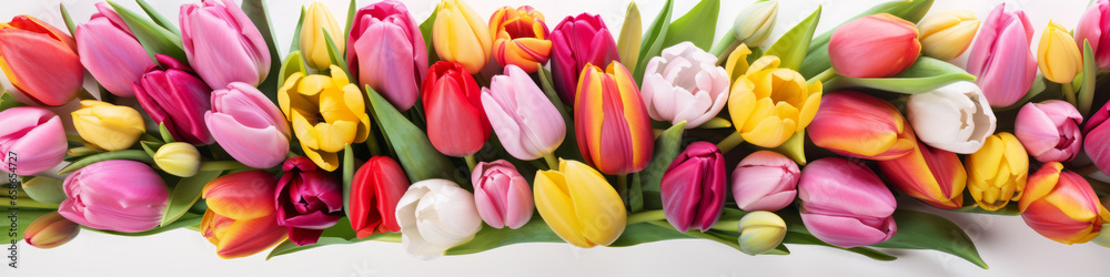 close up of colorful tulips close up of colorful tulips