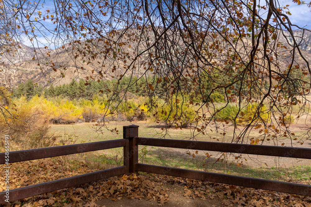 Fototapeta premium Fall Colors 