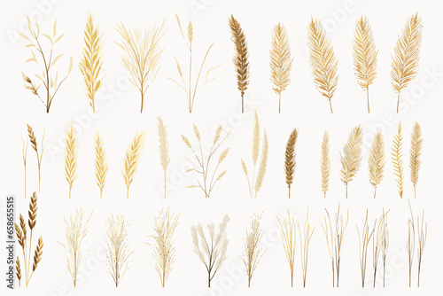 dry grass set vector flat minimalistic isolated vector style illustration