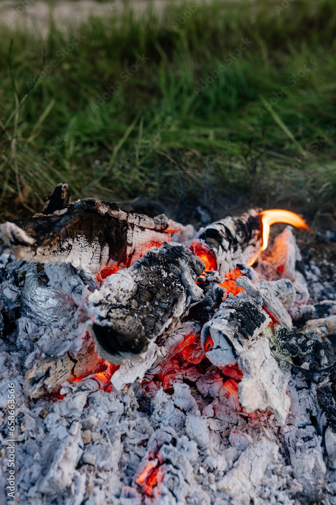 Bonfire close up. Burning firewood in nature against the background of grass. Ashes and coals, camping. Forest fires Bonfire close up. Burning firewood in nature against the background of grass. Ashes and coals, camping. Forest fires