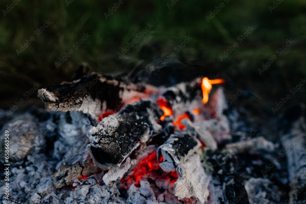Bonfire close up. Burning firewood in nature against the background of grass. Ashes and coals, camping. Forest fires Bonfire close up. Burning firewood in nature against the background of grass. Ashes and coals, camping. Forest fires