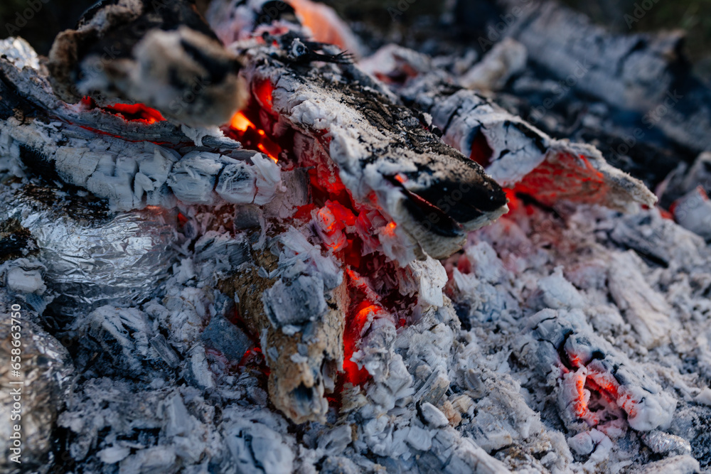 Bonfire close up. Burning firewood in nature against the background of grass. Ashes and coals, camping. Forest fires Bonfire close up. Burning firewood in nature against the background of grass. Ashes and coals, camping. Forest fires
