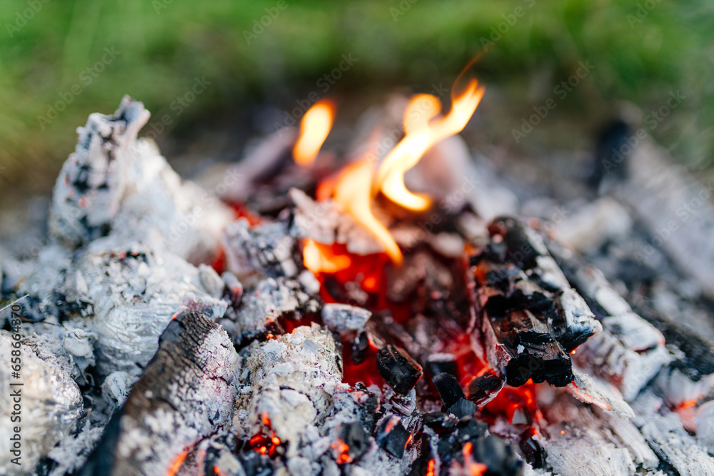 Bonfire close up. Burning firewood in nature against the background of grass. Ashes and coals, camping. Forest fires Bonfire close up. Burning firewood in nature against the background of grass. Ashes and coals, camping. Forest fires