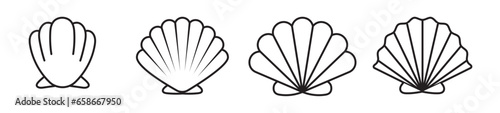 simple sea shell icon pearl