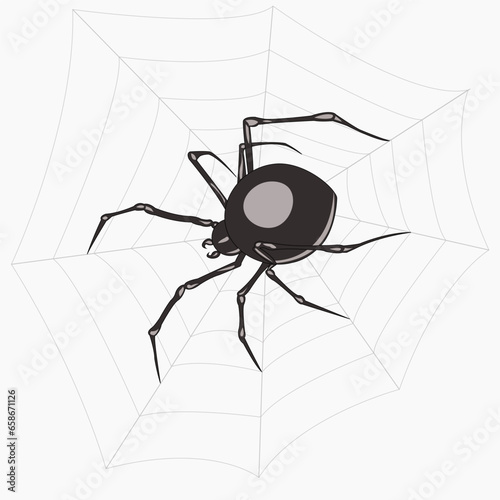 A black spider sits on a web waiting for prey