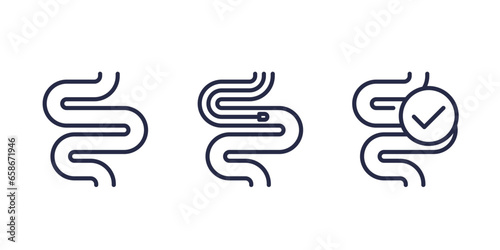 endoscopy line icons, intestine and endoscope
