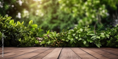 Natural greenery. Wooden background for gardening. Summer vibes. Fresh leaves on table. Rustic wood and green leaf. Perfect blend. Empty desk