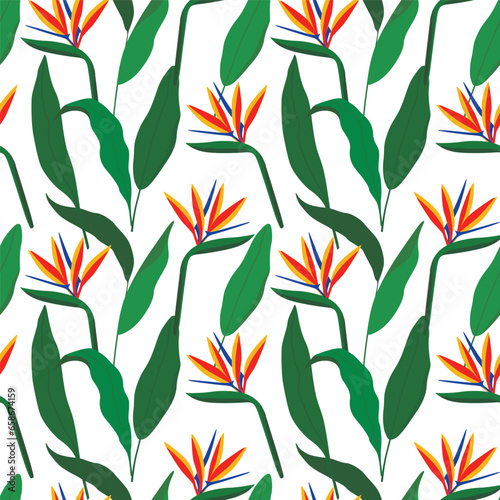Seamless tropical pattern with strelitzia. Vector illustration.