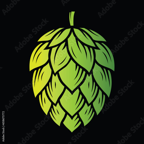 An image of a green hop flower on a black background