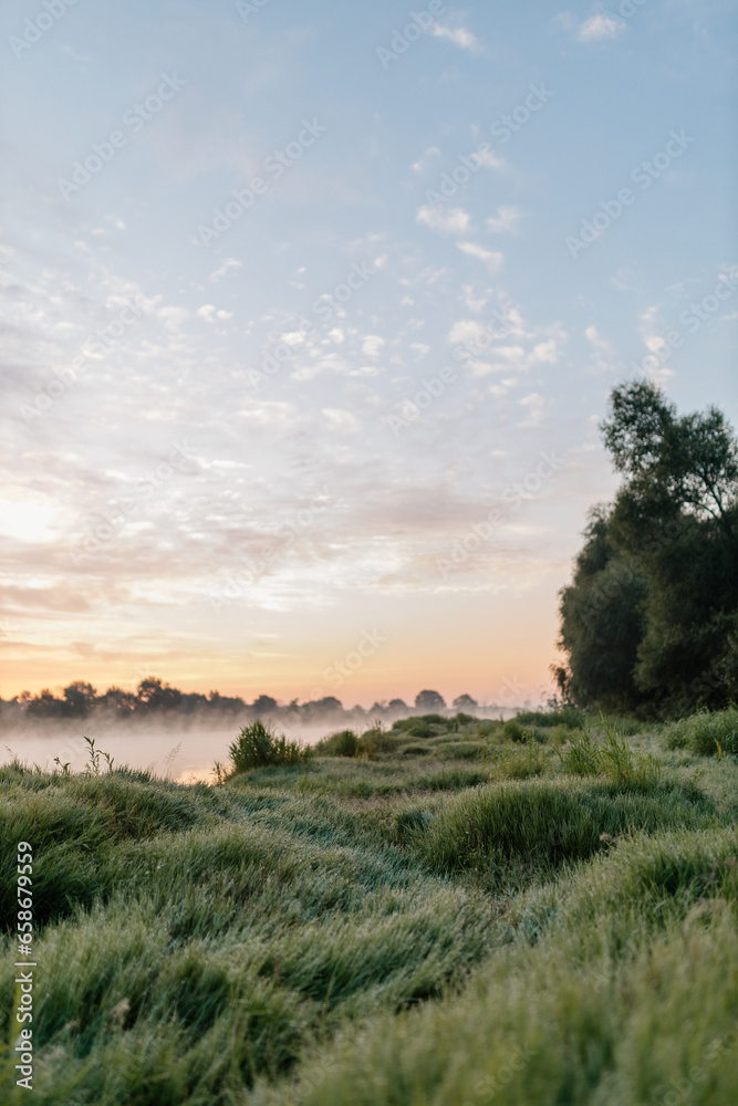 Beautiful meadow of green grass covered with dew, early foggy morning. Dawn on the river bank. Summer background Beautiful meadow of green grass covered with dew, early foggy morning. Dawn on the river bank. Summer background