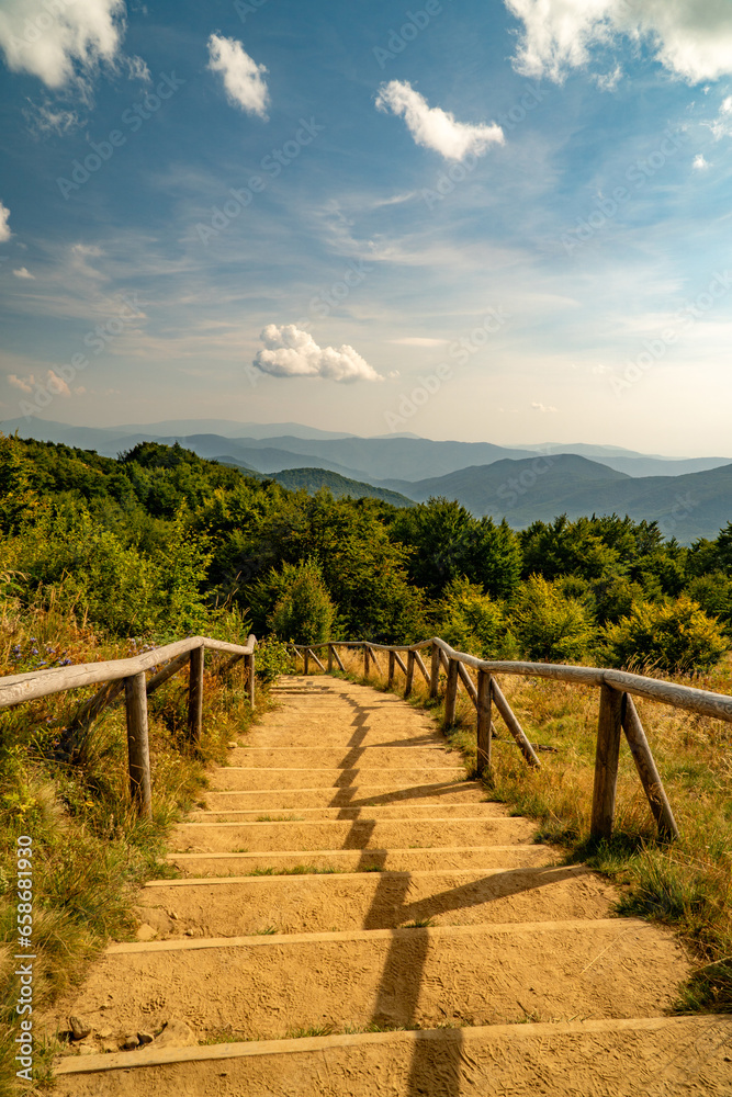 A mountain range in the Bieszczady Mountains in the area of Tarnica, Halicz and Rozsypaniec. A mountain range in the Bieszczady Mountains in the area of Tarnica, Halicz and Rozsypaniec.