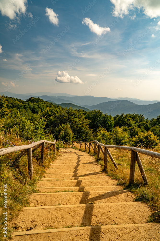 A mountain range in the Bieszczady Mountains in the area of Tarnica, Halicz and Rozsypaniec.