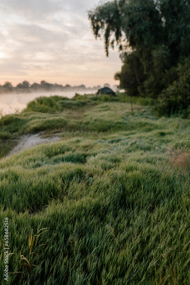 Beautiful meadow of green grass covered with dew, early foggy morning. Dawn on the river bank. Summer background Beautiful meadow of green grass covered with dew, early foggy morning. Dawn on the river bank. Summer background