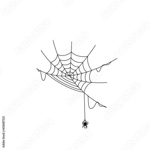 illustration of a spider web for halloween
