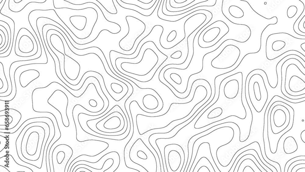Topographic animation scheme and terrain. Topography grid map. Stylized topographic contour map. Geographic line mountain relief. Abstract lines or wavy backdrop background. Contour map background.