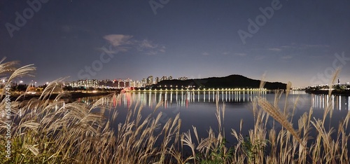 Korean scenery - the Seoul night view through the reeds