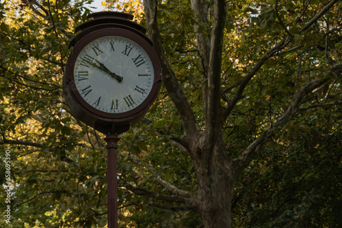 An old stopped watch in the park