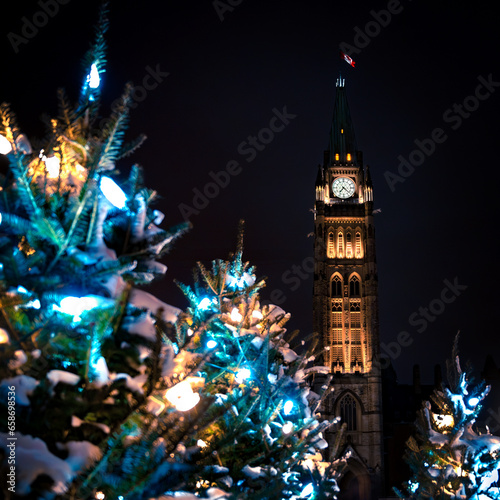 Christmas trees on Parliament Hill, Peace Tower behind, Ottawa, Ontario, Canada