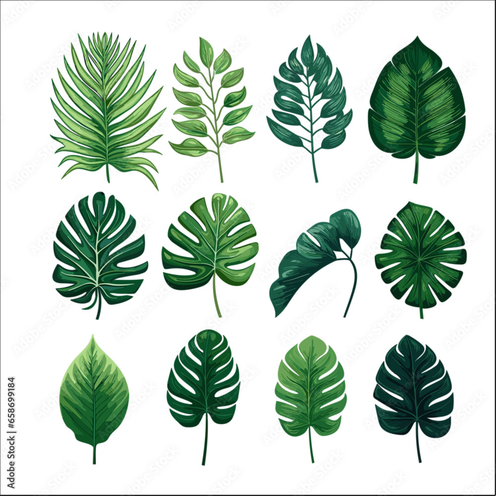 Set of tropical leaf illustration vector for graphic element design 