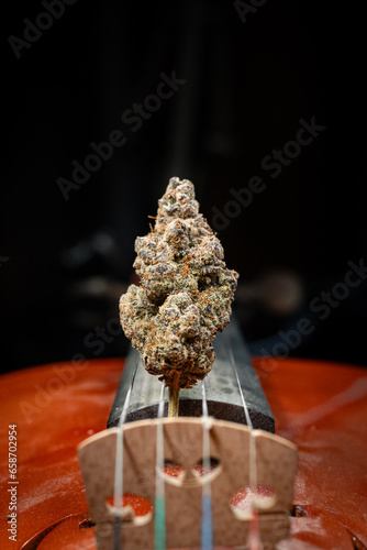Marihuana en violin