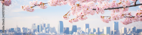 cherry blossom in front of a city 