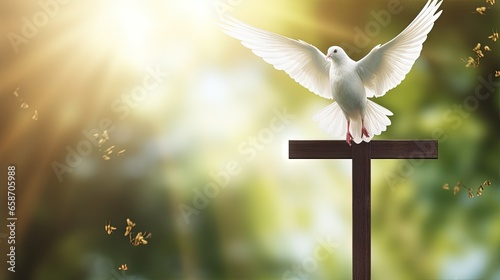 Cross with dove birch branc...