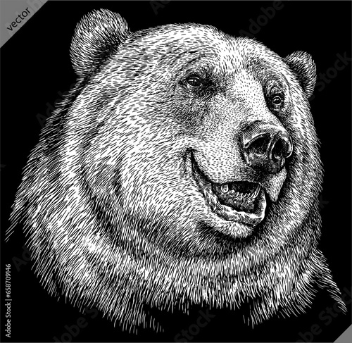  Vintage engrave isolated black bear set illustration ink sketch. American grizzly background asian animal silhouette vector art