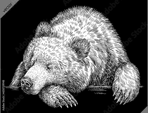  Vintage engrave isolated black bear set illustration ink sketch. American grizzly background asian animal silhouette vector art